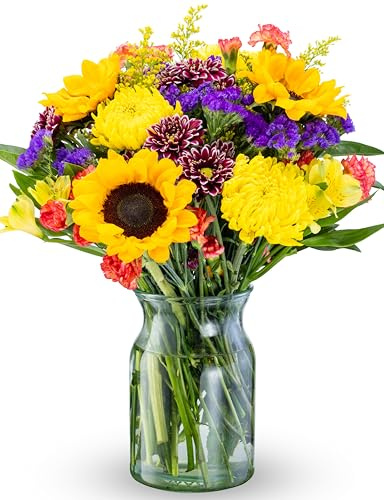 Benchmark Bouquets Flowering Fields Sunflower Bouquet - Mothers Day Flowers for Delivery - Mothers Day Gifts for Mom - Fresh Flowers - Birthday & Get Well Gifts for Women - Glass Vase Included