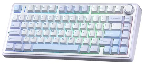 Aula F75 Mechanische RGB TKL Gray Switch Wireless Makrol Hot Swap Tastatur Eisblau