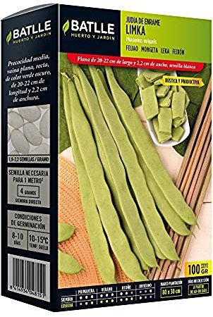 Semences horticoles de Batlle - Haricot nain Limka (100g)