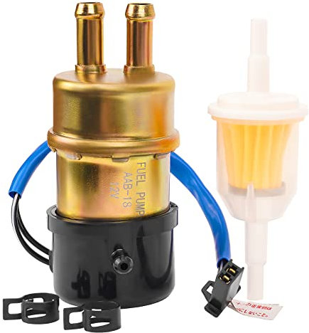 Road Passion Elektrisch Kraftstoffpumpe Benzinpumpe 12v