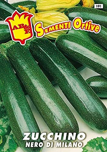 Zucchino Scuro Milano , Semi in busta