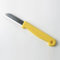 OASIS Florist Knife (1)