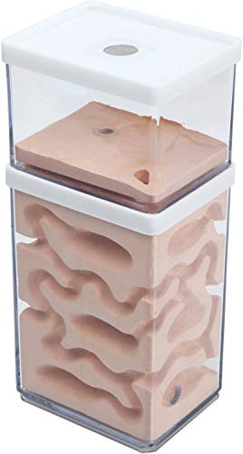 awagas Ecological Ant Nest Farm, Ant Castle Ant Formicarium, Transparent Ant House Plaster Ant Nest, Ant Workshop Insect Villa Ant Feeding Box for Ants Study Science Experiment Gift
