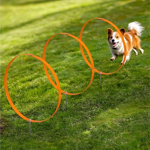Navaris 3X Ring Agility Set Hunde klein und mittelgroß - 3er Hunde Agility Set - 3 Ringe für Hundesport Hundeparcour - Hunde Training Zubehör - Agility Hund Ringe - Orange