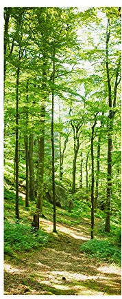 VIRANDA Türtapete Selbstklebend TürPoster - Hain - 3D Türaufkleber Wasserfest Türfolie für Schlafzimmer Gang Tür verschönern deko 77x200cm