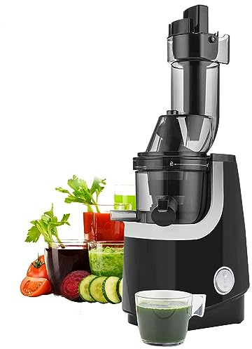 Taylor & Brown Juicer Machines, Slow Juicer Masticating Juicer, Cold Press Juicer with Quiet Motor & Reverse Function for Fresh Healthy Fruits and Vegetables Juice, Easy to Clean with Brush