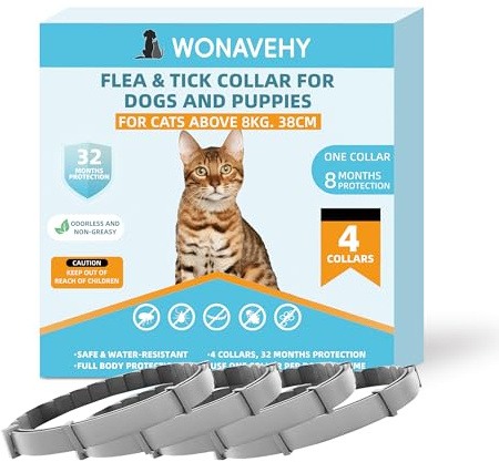 4 Colliers antiparasitaires pour Chats de Plus de 8 kg, élimine Les puces, Les tiques, Les poux et protège du Risque de Transmission, jusqu'à 8 Mois, Taille 38cm Cat Collar
