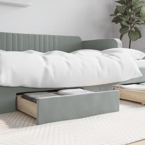 ShGaxin Lot de 2 tiroirs de lit en bois d'ingénierie et velours gris clair, boîte de rangement pour vêtements, chaussures, boîtes de rangement 833916
