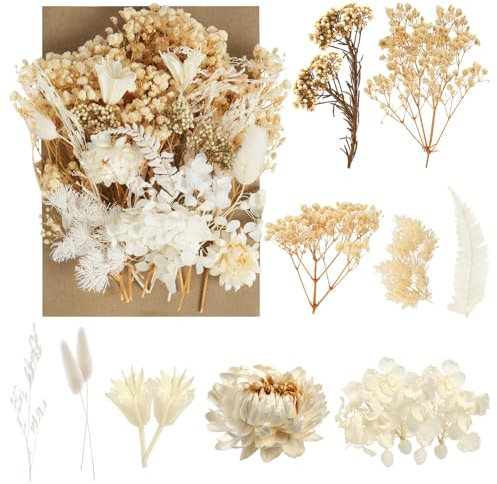 AMFUN Dried Flowers, Pressed Flowers Dry Flowers, Dried Flowers for Crafts, Dry Flowers for DIY Arts Making Floral Decorations（White）