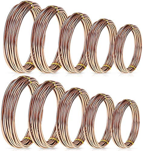 Prominy 10 Rouleaux Bonsai Wires Fil De Formation Bonsai en Aluminium Anodisé en 5 Tailles Kit De Démarrage - 1,0 Mm, 1,5 Mm, 2,0 Mm, 2,5 Mm, 3,0 Mm, Total 164 Pieds Marron