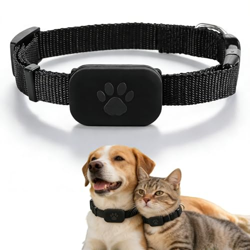 Collier GPS Chat, SGZIOO Traceur GPS Chien, Traceur Chat, Compatible avec iOS et Android, sans ABO, Étanche IP67 pour Petits, pour Chats D'extérieur