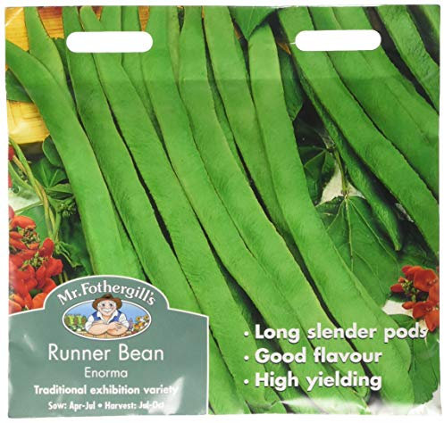 Mr Fothergill's 18504 Vegetable Seeds, Runner Bean Enorma