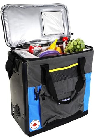 Michelin Portable Cooler - Electric Lunch Bag For Car, Camping, Travel, 12 V Insulated Soft Sided Refrigerator For Vehicle, Boat, Truck, Warming & Cooling, Cools Drinks,Food For Road Trip, 14L