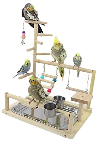 WishesMar Parco Giochi per Pappagalli Palestra per Uccelli Terreno di Gioco per Cocorite con Posatoi Supporto Tazza di Alimentazione Scala Altalena e Vassoio pour Cacatua, Legno, Taglia 45x37x26 CM #B
