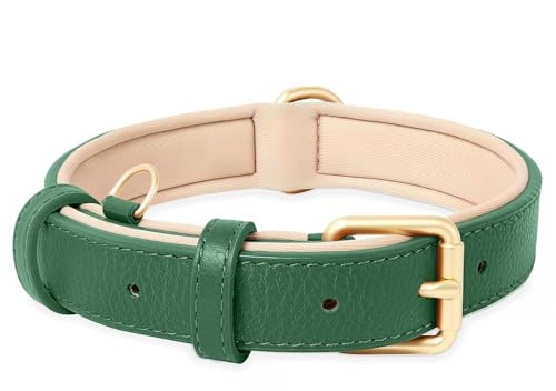 HEELE Hundhalsband, Hundhalsband Läder Mjuka Vadderad Justerbar, Klassiska Hundhalsban för Stora Hund, Verde, L