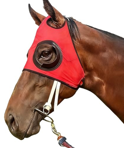 Cappuccio Lampeggiante Per Cavallo - Protezione Per Gli Occhi In Rete Traspirante, Copertura Per Maschera Da Addestramento Equino, Attrezzatura Leggera Per Il Controllo Della Vista, Attrezzatura Per L