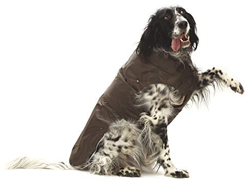 CROCI, MONTREAL, Cappotto per cani, Mantello invernale, Giacca impermeabile, Taglia 25 cm, Marrone