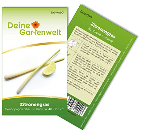 Zitronengras Samen - Cymbopogon citratus - Zitronengrassamen - Kräutersamen - Saatgut für 100 Pflanzen