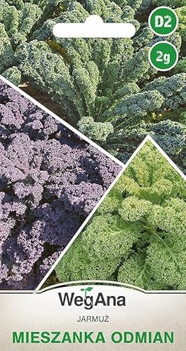 WegAna Chou vert mélange 2g, graines de légumes robustes, graines de légumes, graines de culture