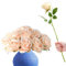 RHQFDM 12 Bündel Künstliche Rosen,51cm Langstielige Kunstblumen Rosen,Kunstblumen Seidenblumen Rosen,Kunstblumen wie echt,Fake Rosen für Haus,Garten und Hochzeitsdekoration（Champagnerfarbe）