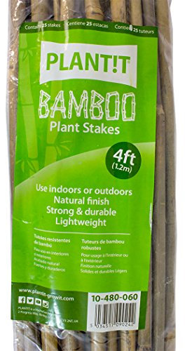 PLANT IT 10-480-060 4 ft Bamboo Stakes - Beige (Pack of 25)