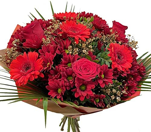 Festive Christmas Bouquet – Fresh Red Roses - Gerbera Santini, with Seasonal Greens – Winter Holiday Floral for December, Housewarming, Sympathy, Indoor Decoration