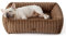 BEDSURE Hundebett Grosse Hunde orthopädisch, 76x61x20cm Cord Fleece waschbares Hundekorb, rutschfest Hunde bettchen mit hohem Rand, braun