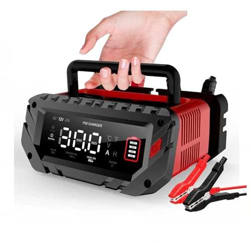 Intelligentes 6V/12V/24V 30A Batterieladegerät und Erhaltungsladegerät mit Pulsreparatur 4-Stufen-Ladegerät für LiFePO4/AGM/Blei-Säure-Batterien für PKW,Boote,LKWs,Wohnmobile und Rasenmäher,EU-Stecker