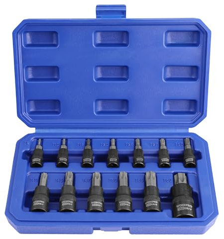 WORKPRO Jeu de Douilles Torx 13 Pièces, Embouts T8-T60 en Acier S2 et Douilles en Acier Chrome Vanadium 1/4, 3/8 et 1/2, avec Boîte de Rangement