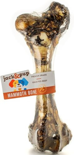 Jack&Pup Mammoth Big Dog Bones for Large Dogs, 15 Femur Beef Bones for Agressive Chewers, Natural Giant Dog Bone (1 Pack)