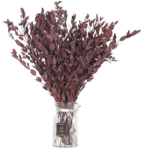 Dried Eucalyptus Leaves Preserved Greenery Stems, 8-14 PCS Eucalyptus Garland Branches, 4 OZ Red Leaves Plant Bundle for Wedding Wreath Party Home Decor Vase Filler