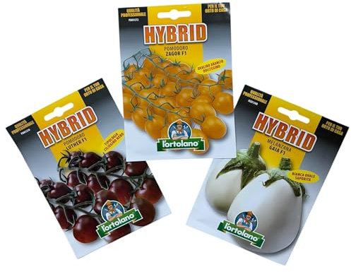 L'ORTOLANO-OFFERTA- 3 BUSTE Di Semi Da Piantare-Pomodoro Ciliegino Nero Luther F1, Pomodoro Ovalino Arancio Zagor F1, Melanzana Bianca Ovale Gaia F1. Sementi Ibride. Sementi di Alta Qualità.