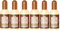 6x Tesori d´Oriente Byzantium Aromatic Perfume with Black Rose & Labdanum Eau de Toilette 100 ml EDT