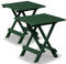 Deuba® 2er Set Gartentisch Klapptisch Adige 50x45x43 cm Klappbar Tragbar Campingtisch Balkontisch Beistelltisch - Grün