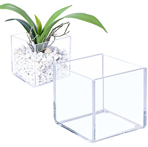 Kamehame Clear Vase 2 Pcs Acrylic Vase, 5x5x5 Succulent Pots Planters, Square Cube Vases for Centerpieces, Flower Vase for Home Office Wedding Floral Decor