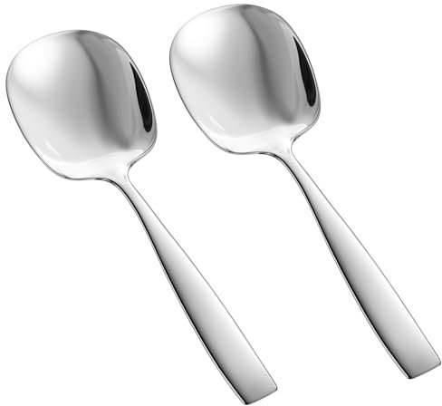 Large Serving Spoons Set 18/8 Stainless Steel Serving Spoons 9.5 Inch Buffet Serving Spoon Big Serving Utensils for Buffet Parties Catering (2pack, Silver)