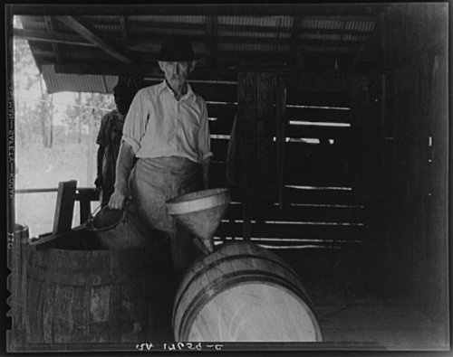 HistoricalFindings Photo: Turpentine Worker,Georgia,GA,Farm Security Administration,Dorothea Lange,FSA,3