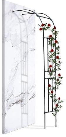 Arco Semicircolare da Giardino Arco per Rose Rampicanti Pergolati da Giardino Metallo Arco Traliccio da Giardino da Acciaio Montaggio a Parete per Esterno Terrazzo Cortile(220x240cm)