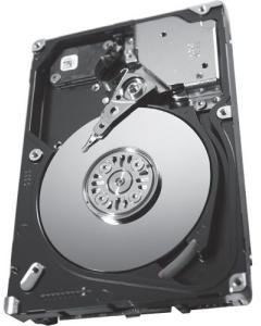 Seagate Bulk ST9146853SS SAVVIO 15 K.3 6 GBS 146 GB (ST9146853SS)