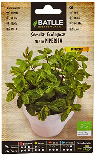 Batlle Menthe POIVRÉE