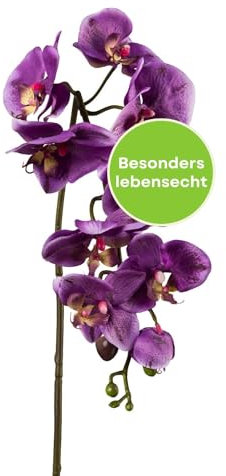 CREATIV green stilvolle Phalaenopsis Kunstorchidee 86cm in lila I künstliche Orchideen wie echt mit naturgetreuen Blüten I Pflegeleichte & täuschend echte Kunstblumen I Ideal als Blumen Deko