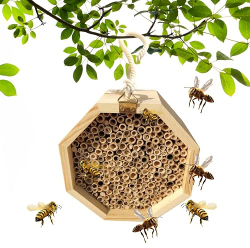 JIEBWCHA Maison à abeilles à suspendre en bois de 15 cm pour abeilles sauvages, lacets, papillons et coccinelles