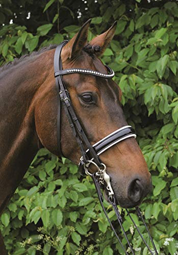Hans Melzer Horse Equipment Kandare Hamburg LACK, schwarz/silber, Extra Warmblut