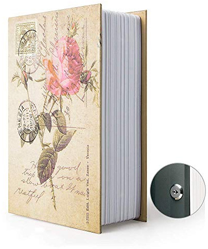 Diversion Book Safe Storage Box (9.5×6×2.2), Dictionary Secret Safe Can with Security Key Lock, Diversion Book Hidden Safe (Rose,Key)