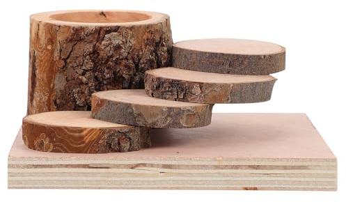 MUELODSIC Hamster Wooden Climbing Toy and Feeding Bowl with Apple Wood Platform, Small Animal Chew Toy for Dwarf Hamsters and Rodents, Natural Wood Stand for Play and Rest