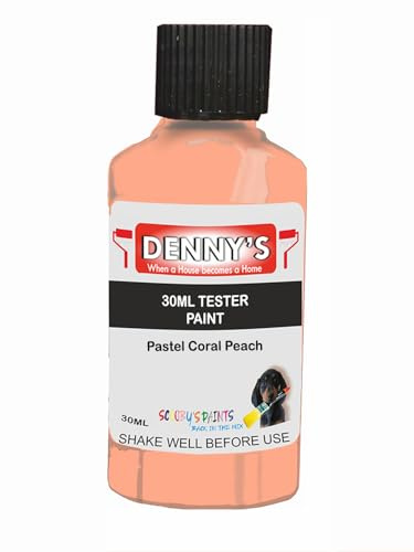 Premium Interior Wall & Furniture Chalk Paint – Pastel Coral Peach – Rich Matt Finish, Durable & Washable, Low Odour, Ideal for Living Rooms, Bedrooms & Hallways (30ML Tester Bottle)
