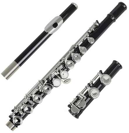 tvärflöjt instrument Nybörjarflöjt 16 hål Flöjtinstrument E Tangent C Ton