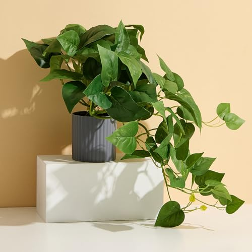 Amore Florals Lifelike Artificial Pothos Plant - Fake Hanging Indoor Plants in Pot, Realistic Devil's Ivy for Home Office Decor, No Maintenance Fake Potted Plants