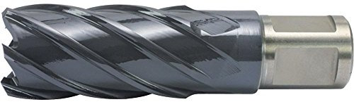 Alfra 0007613260151 - Broca sacanúcleos