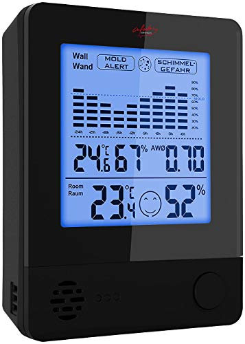 infactory Schimmelwarner: 2in1-Thermometer & Hygrometer, Raum- & Wand-Messung, Schimmel-Alarm (Schimmelwächter, Schimmelwarner Hygrometer, Feuchtigkeitsmesser Pflanzen)